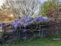 Images for Moorlands Road, Ambergate
